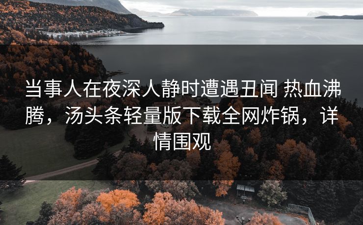 当事人在夜深人静时遭遇丑闻 热血沸腾，汤头条轻量版下载全网炸锅，详情围观