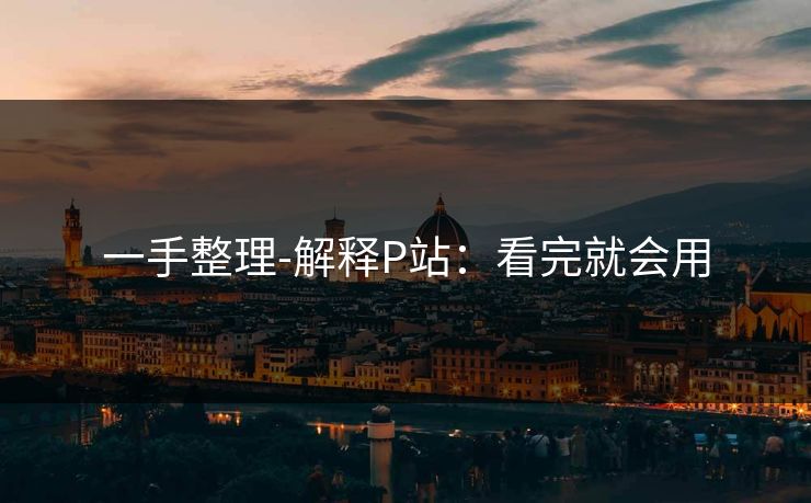 一手整理-解释P站：看完就会用